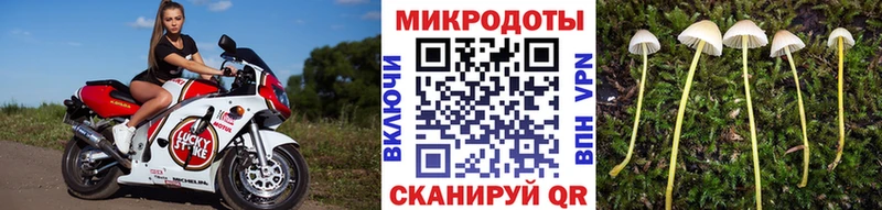Псилоцибиновые грибы Magic Shrooms  Купить закладки  Усть-Лабинск 